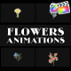 Flowers Falling Into Petals Animations for FCPX - VideoHive Item for Sale