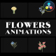 Flowers Falling Into Petals Animations for DaVinci Resolve - VideoHive Item for Sale