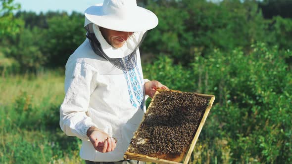 Beekeeper is working with bees and beehives on the apiary. Frames of a bee hive. alt
