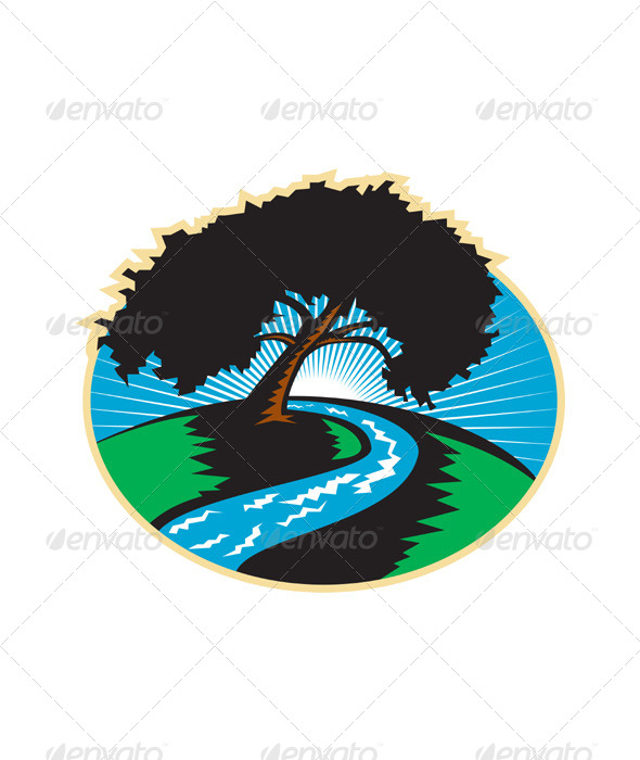 Pecan Tree with Winding River Sunrise - Flowers & Plants Nature