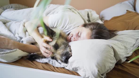 Woman Strokes Grey Dog Lying in Comfortable Bed in Morning