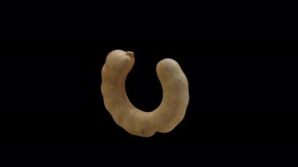 Realistic Tamarind Rotating With Alpha Channel alt