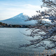 Mount Fuji and Cherry blossom Sakura, Japan in Spring - PhotoDune Item for Sale