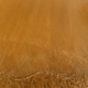 sandy beach with waves rolling in, creating a beautiful natural background. beige sand contrasts - PhotoDune Item for Sale