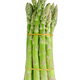 Bunch Of Raw Green Asparagus Tied With Elastic Band Isolated On White Background. - PhotoDune Item for Sale