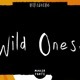Wild Ones Handmade Font