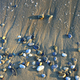 Close-up of pebbles in the sunlight on sandy beach - PhotoDune Item for Sale