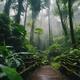 Rainy nature rainforest and forest plantation - PhotoDune Item for Sale