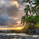 Sunset on a tropical beach with silhouetted palm trees in Maui, Hawaii - PhotoDune Item for Sale
