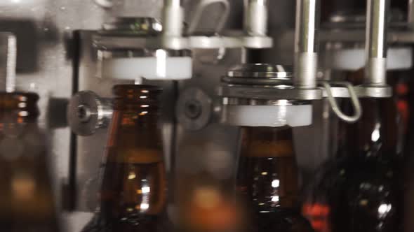 Beer bottles on a conveyor belt. installation of a bottle cap. close-up. brewery. alt