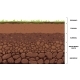 Soil Layer Infographic Earth Geology Formation