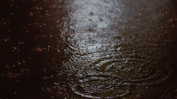 Close-up Drops of Summer or Autumn Rain of Water Fall on Asphalt in the City Turning Into a Large alt