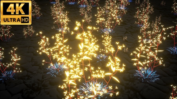 Glowing Flowers 4k