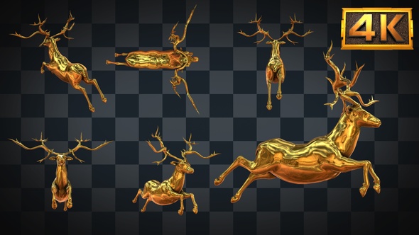 [6 In 1]4K Golden Elk Running
