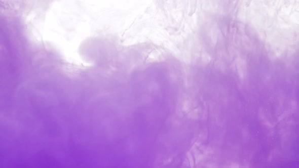 Cloud of Purple Paint Flows