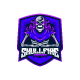 Skull Esport Logo