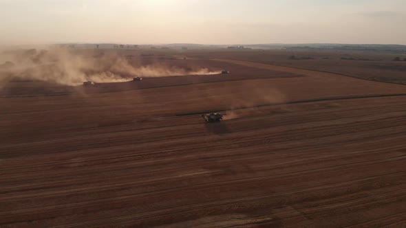 Aerial shot: few combines harvest wheat at sunset. alt