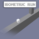 Isometric Run
