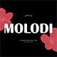 Molodi Rounded Display Font