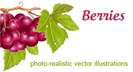 Berries