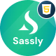 Sassly |  SaaS & Tech Startup HTML Template