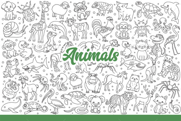 [DOWNLOAD]Wild Animals and Insects or Reptiles Living 