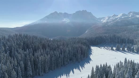 Flight Over the Snowcovered Spruce Forest with Mountains in the Background