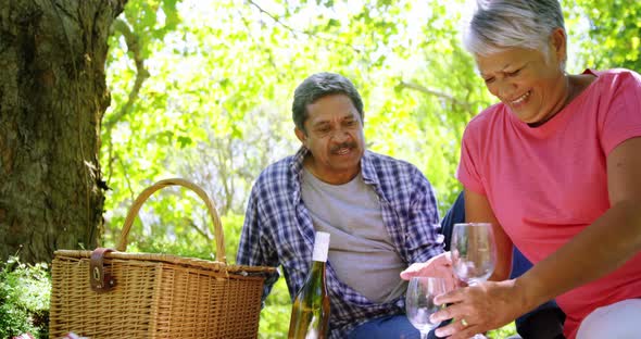 Senior couple preparing to drink wine alt
