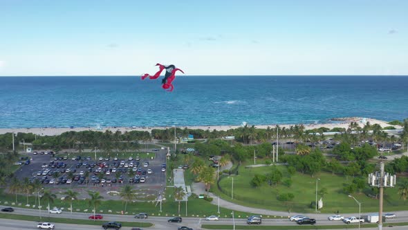 Summer Nature of Florida.  Aerial of the Kites Soaring Above the Blue Ocean alt