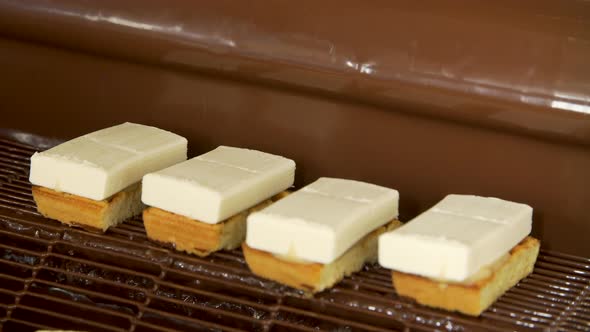 Chocolate Sweets on the Conveyor Belt