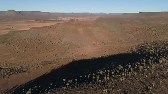 Stunning aerial views over the old Quiver tree forest outside Nieuwoudtville in the Northern Cape of alt