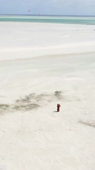 Tanzania  Vertical Video of the Ocean Near the Coast of Zanzibar Slow Motion alt