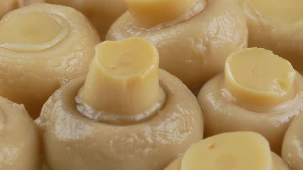 marinated champignons close up alt