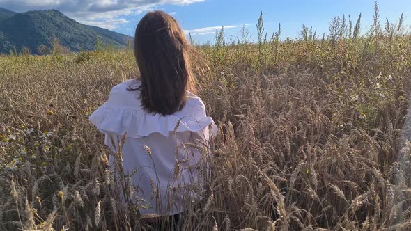 brunette woman sitting in a wheat field view from the back