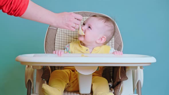 Mother feeding toddler baby with spoon on high chair for children, blue studio background.