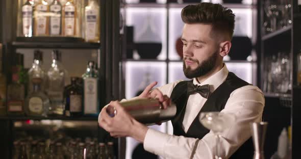 The Bartender Is Mixing a Drink in a Shaker alt
