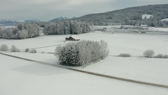 Aerial of group of snow covered trees with a small cabin  in beautiful winter landscape alt