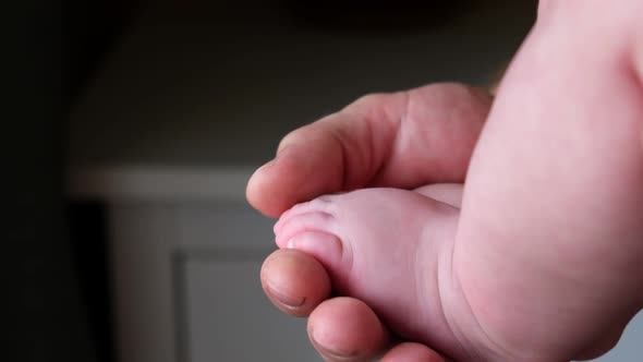 Father Holding and Stroking Baby Feet in Hands alt