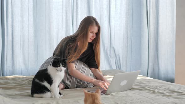 Girl Speaking and Chatting By Laptop in Bed, Two Cats Kissing Near Her