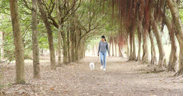 Woman run with dog in park alt