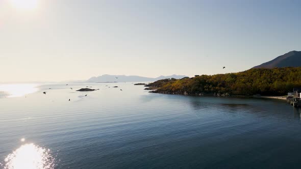 Drone flight on Senja Island during sunset, herons gliding through air alt