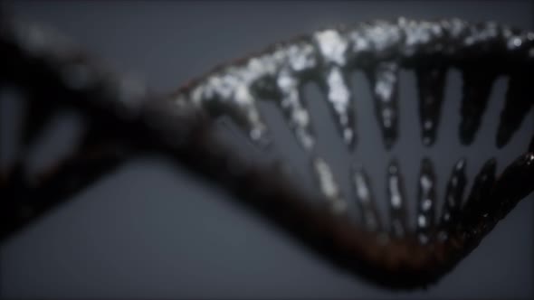 DNA Molecule on the Grey Background alt