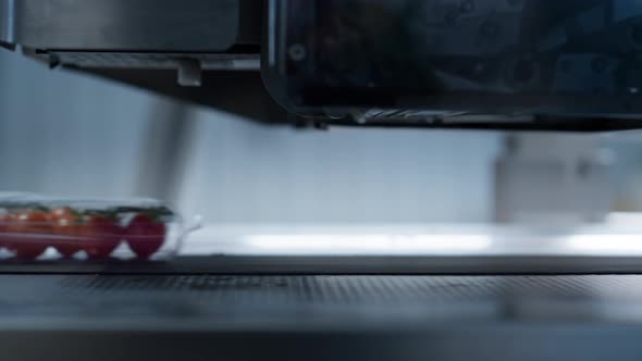 Tomato Manufacture Plastic Boxes Transportation Process By Technological Machine alt