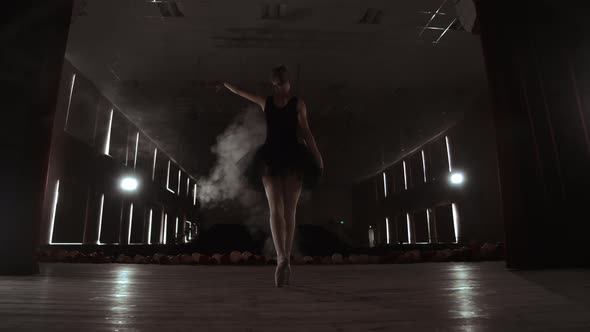 A Graceful Ballerina Dancing Ballet Elements in the Dark with Light and Smoke on the Background Slow alt