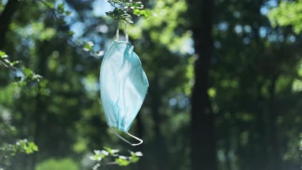 a blue medical mask hangs in the city park on a bush, the consequences of covid for nature.