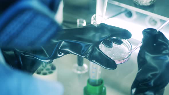 Liquid Sample is Getting Tested in the Laboratory Cabinet alt