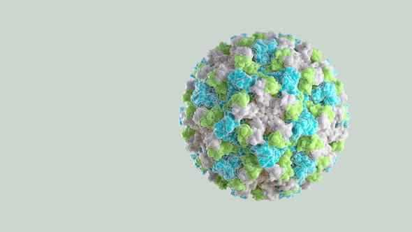 Norovirus, Norwalk Virus, 3D Model