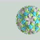 Norovirus, Norwalk Virus, 3D Model - VideoHive Item for Sale