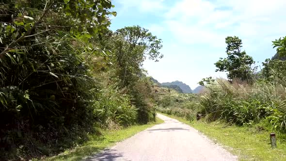 Narrow Road Near Green Grass and Tree Leaves Waved By Wind