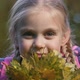 Little Girl With Pigtails Smelling Bouquet of Autumn Leaves, Children Happiness - VideoHive Item for Sale